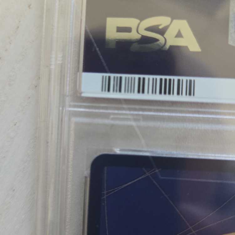 Trafalgar Law Championship