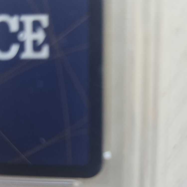 Trafalgar Law Championship