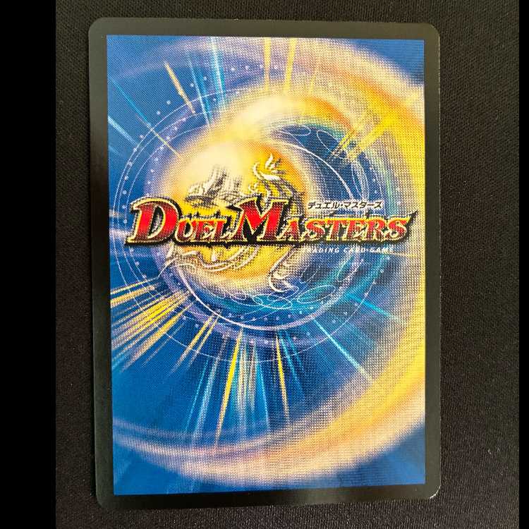 昇カオスマントラ SR S1/S11