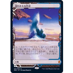 [EX+](Full Art) Flooded Strand/Flooded Strand [Japanese] [ZNE