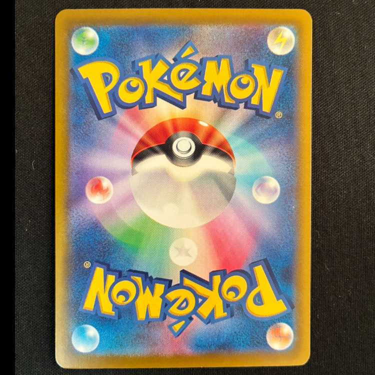 パソコン通信 PROMO 224/SV-P