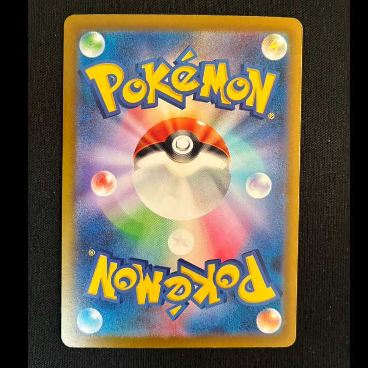 Lotto Ribo PROMO 160/SV-P