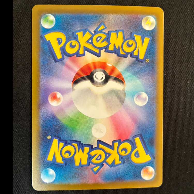 Lotto Ribo PROMO 160/SV-P