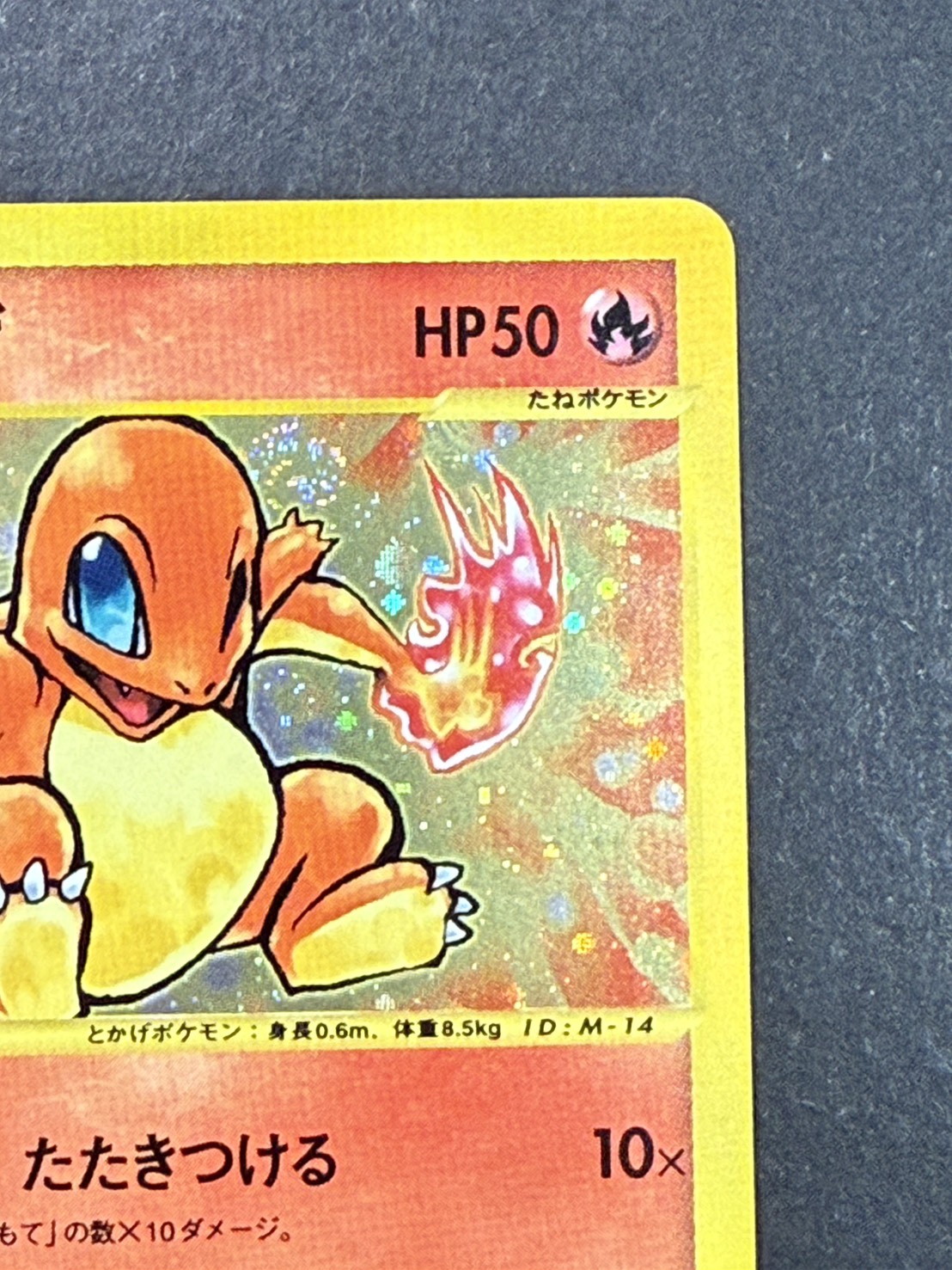 〔状態A-〕ヒトカゲ(マクドナルド)【P】{004/018}