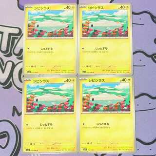 シビシラス C 033/086