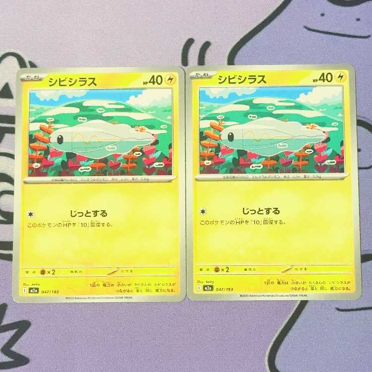 シビシラス 047/193