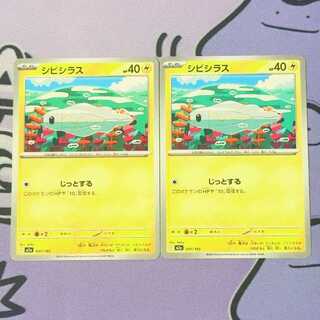 シビシラス 047/193