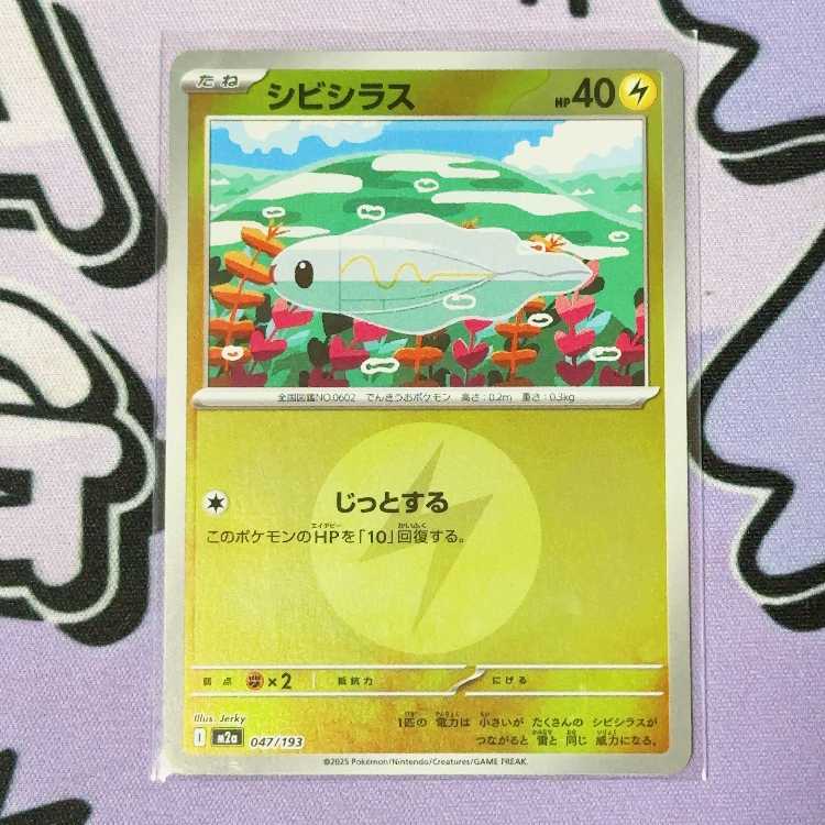 シビシラス(エネルギーマーク柄/ミラー仕様) 047/193