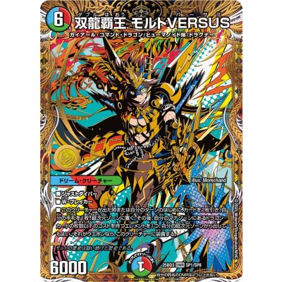 [State B] SOULONG HAOHAO MOLT VERSUS [DMR] {25BD3SP1/SP8} [ Many 1