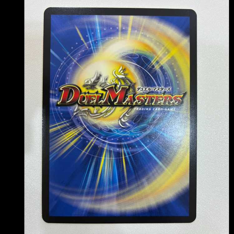 「修羅」の頂 VAN・ベートーベン SR SE3/SE10