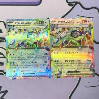 Terrapagos ex RR 145/193