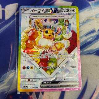 イーブイex SAR 224/187