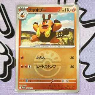 Pignite (Ball Pattern/Mirror Type) 025/193