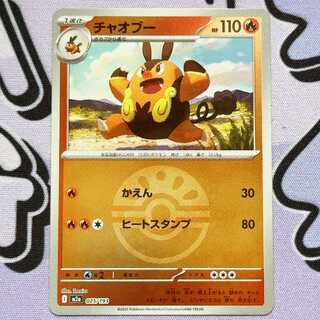 Pignite (Ball Pattern/Mirror Type) 025/193