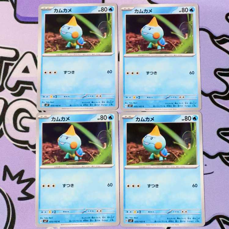 カムカメ C 025/102