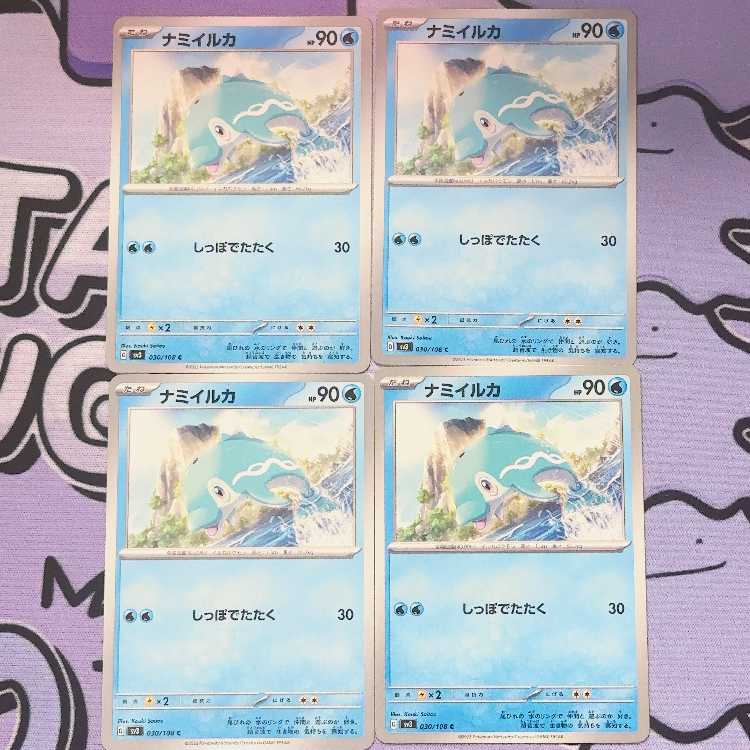 ナミイルカ C 030/108