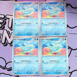 ナミイルカ C 034/101