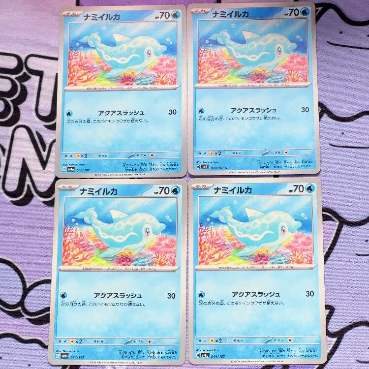 ナミイルカ C 034/101