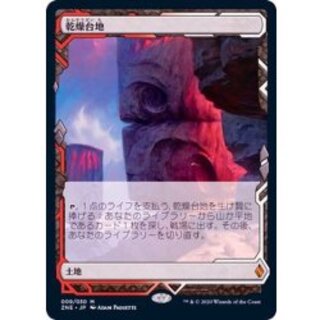 [EX](Full Art) Arid Mesa/Arid Mesa [Japanese] [ZNE 1