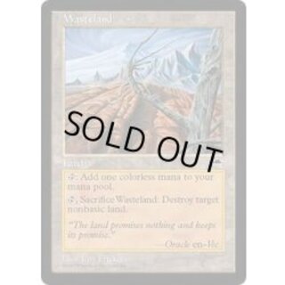 [EX]不毛の大地/Wasteland《英語》【TMP】 1