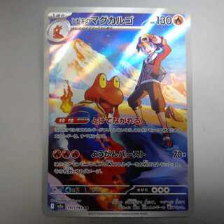 Hibiki's Magcargo AR 197/193