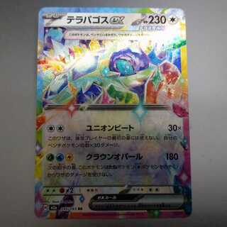 Terrapagos ex RR 145/193