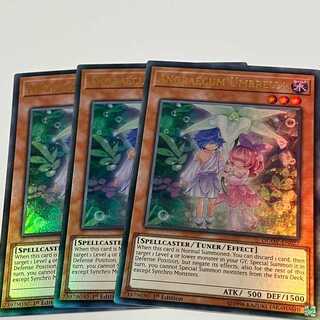 Angraecum Umbrella English EU edition 3 copies