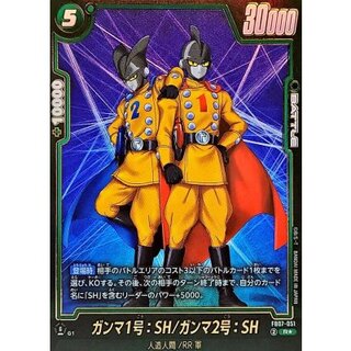 Gamma-1: SH/Gamma-2: SH (parallel) [R☆] {FB07-051}