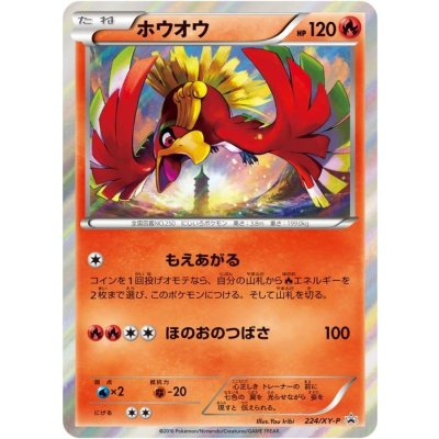 ホウオウ【P】{224/XY-P}