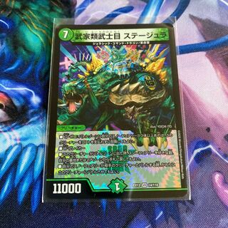 武家類武士目 ステージュラ