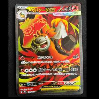 Mega Cameruptex SR 077/063