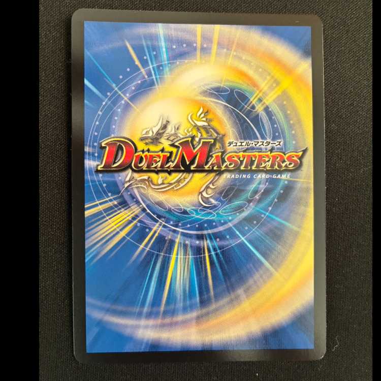 偽りの名 ワスプメリサ VR 8/74