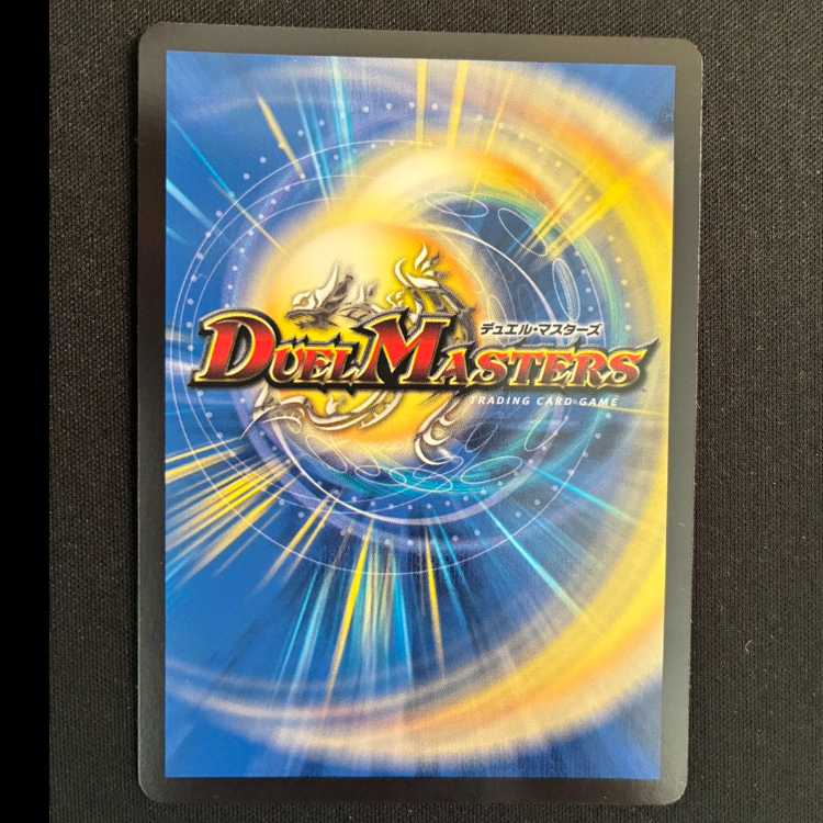 偽りの名 ワスプメリサ VR 8/74