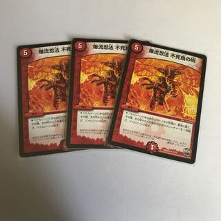 爆流忍法 不死鳥の術　3枚