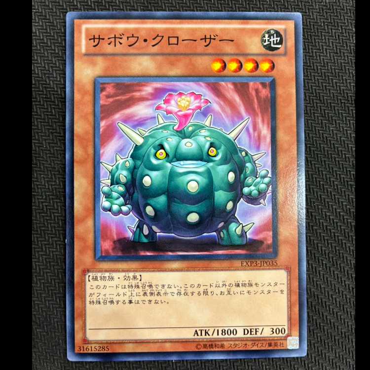 Cactus Bouncer Normal JP035