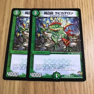 純白目 ラビカテロン