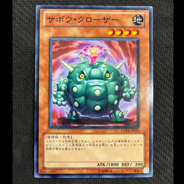 Cactus Bouncer Normal JP035