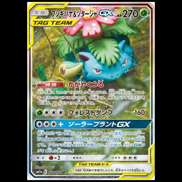 フシギバナ＆ツタージャGX SR 066/064