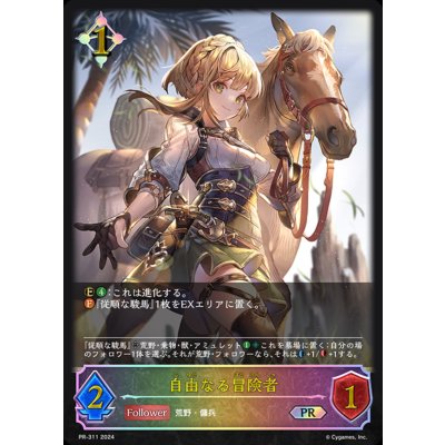 〔状態A-〕自由なる冒険者(イラスト違い)【PR】{PR-311} 1