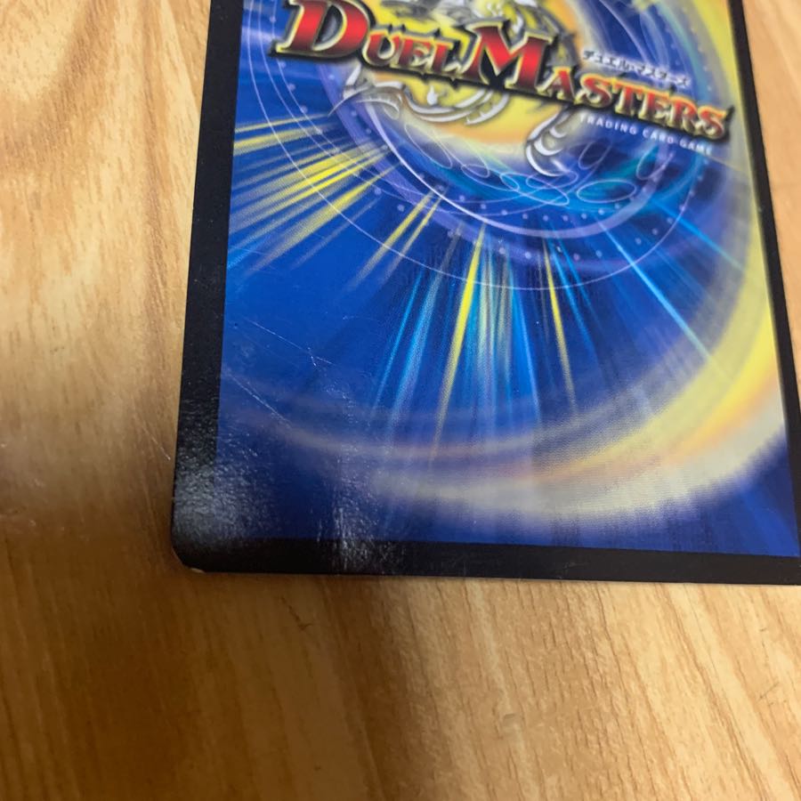 閃光の守護者ホーリー