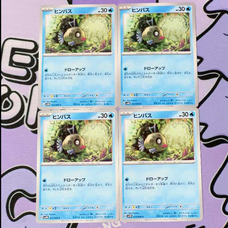 ヒンバス C 013/066