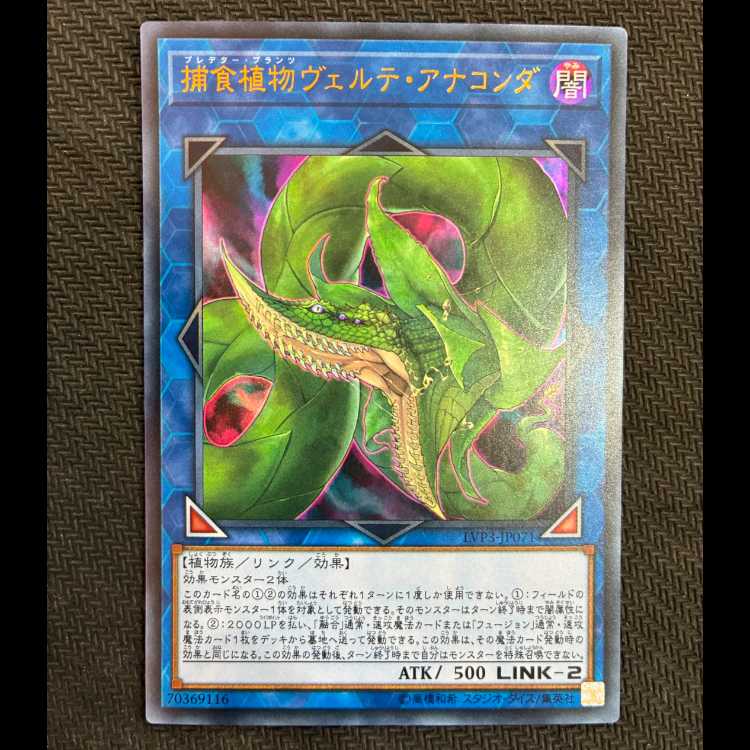 捕食植物ヴェルテ・アナコンダ ウルトラレア JP071
