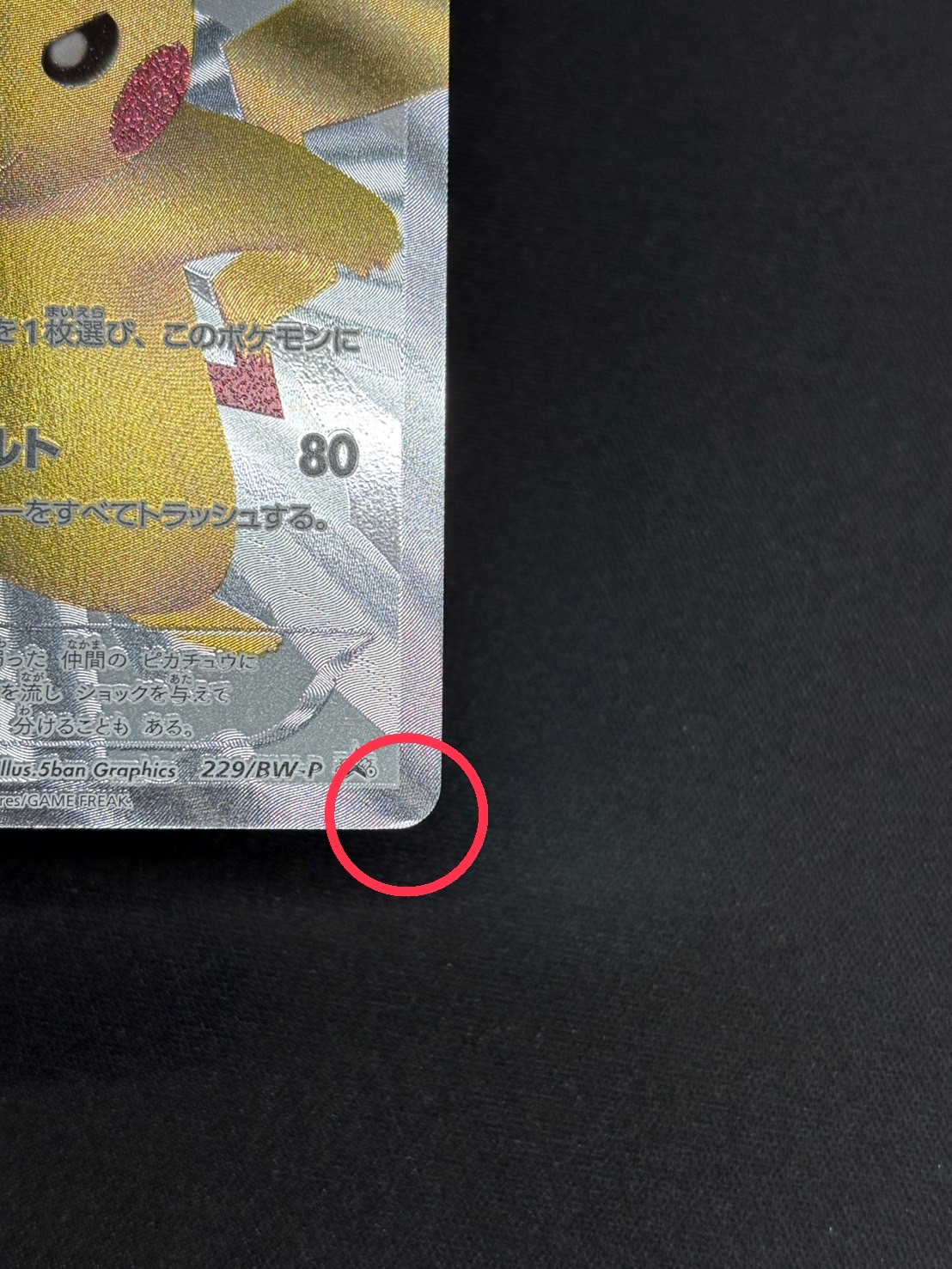 〔状態B〕ピカチュウ【P】{229/BW-P} 1