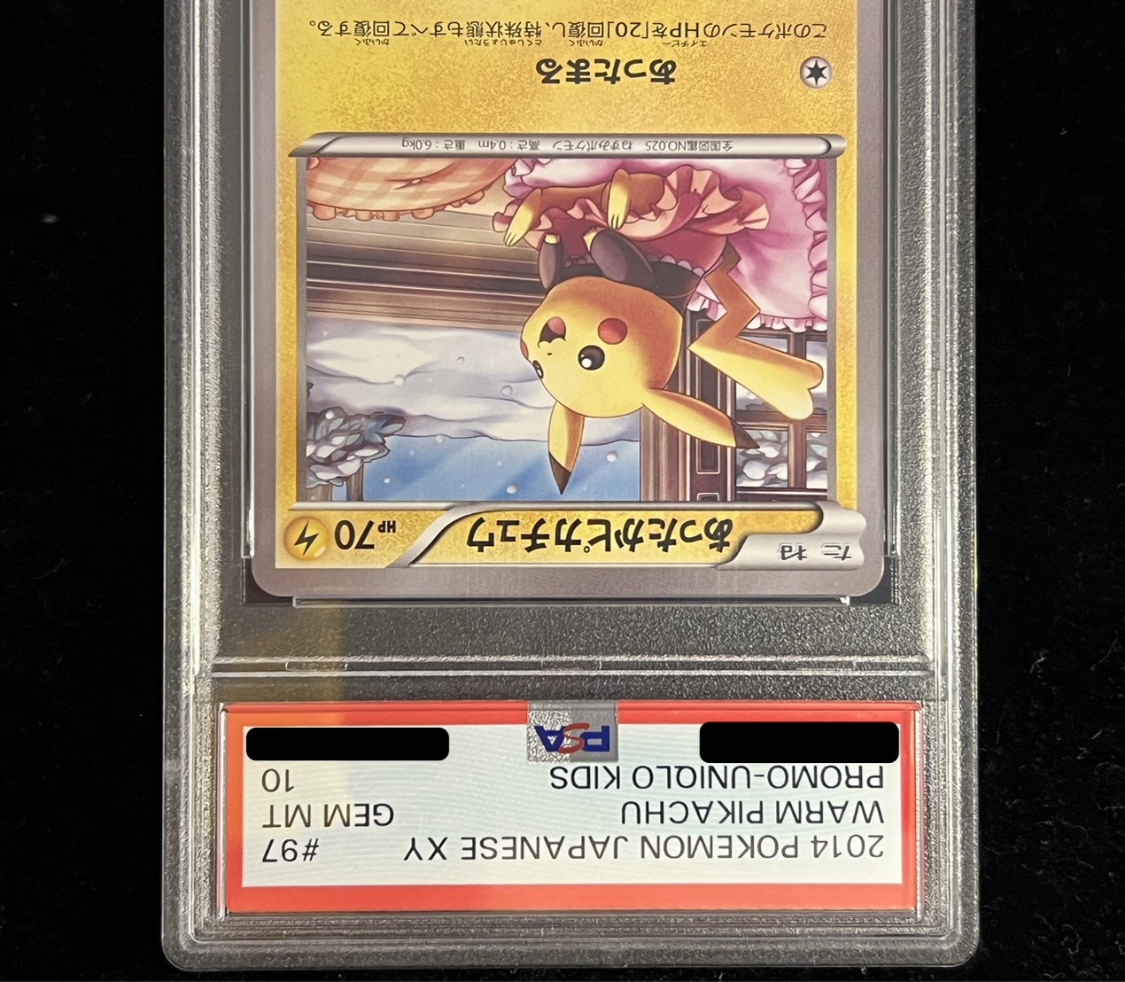 〔PSA10鑑定済〕あったかピカチュウ【P】{097/XY-P} 1