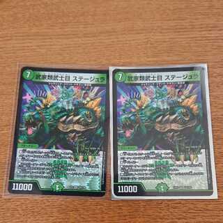 武家類武士目 ステージュラ