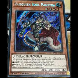 VS Pantera English Edition EU Edition Sic.