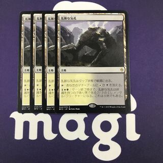 乱脈な気孔 4枚