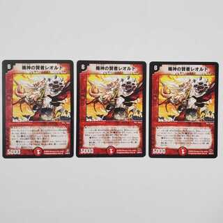 楯神の賢者レオルド