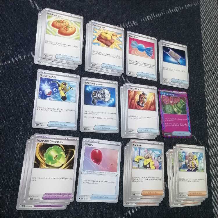 ポケモンカード　デッキ　シロナのガブリアスex　デッキ　[04453] 1枚