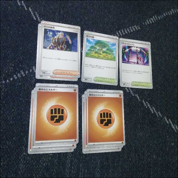 ポケモンカード　デッキ　シロナのガブリアスex　デッキ　[04453] 1枚